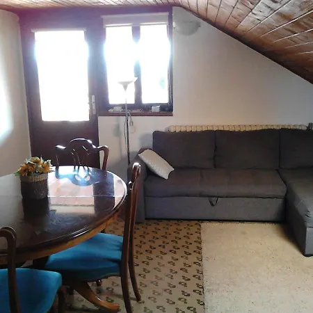 Dominik Ζαντάρ